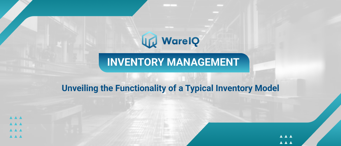 Unveiling the Functionality of a Typical Inventory Model